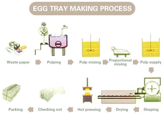 Egg tray production process Egg tray production process